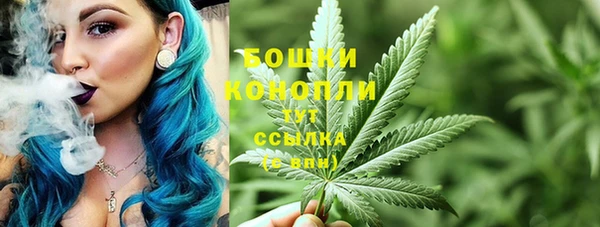 амф Богородск